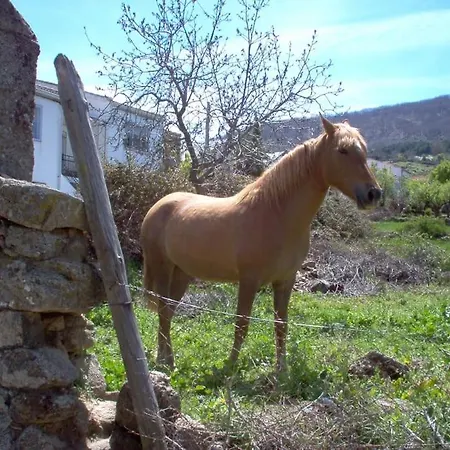 Casa Rural Cristina I San Pablo de los Montes Buitenkant foto