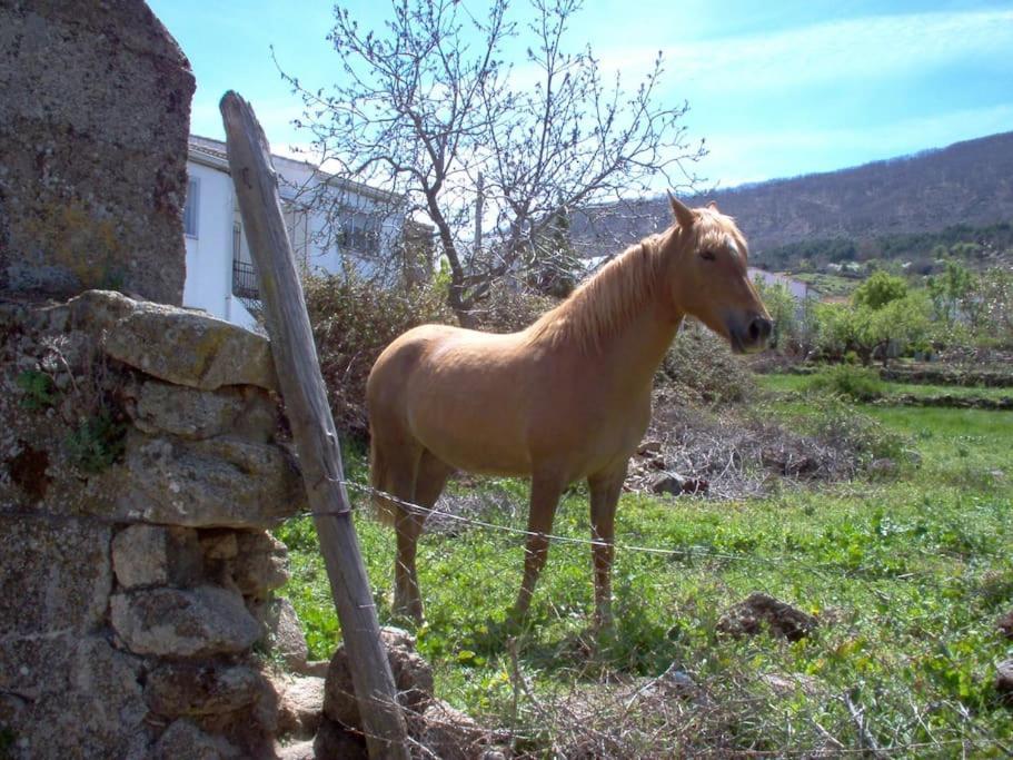 Holiday home Cristina I *